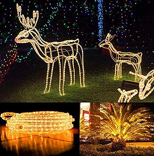 Eruibos Van 10M 100 LEDS Lichterschlauch Batterie, Schlauch Außen mit Fernbedienung und Timer