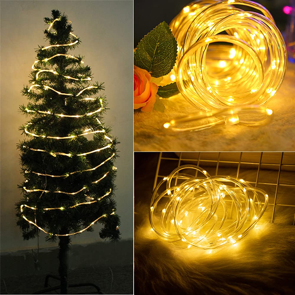 Eruibos Van 10M 100 LEDS Lichterschlauch Batterie, Schlauch Außen mit Fernbedienung und Timer